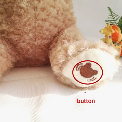 PeekaBoo Bear - Interactief kiekeboe