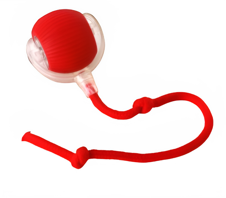 CatBall - Zorgeloos voor de eigenaar