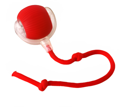 CatBall - Zorgeloos voor de eigenaar